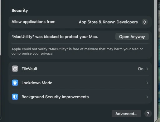 System Settings Security pane with Open Anyway button